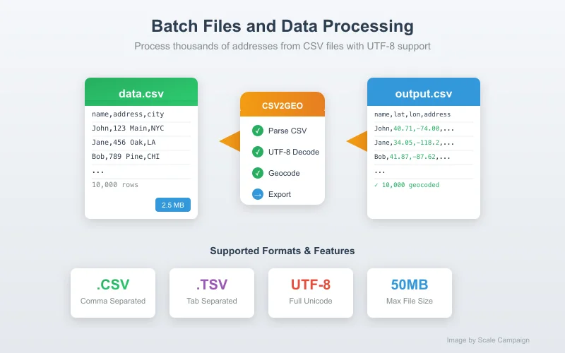 CSV and Excel File Support